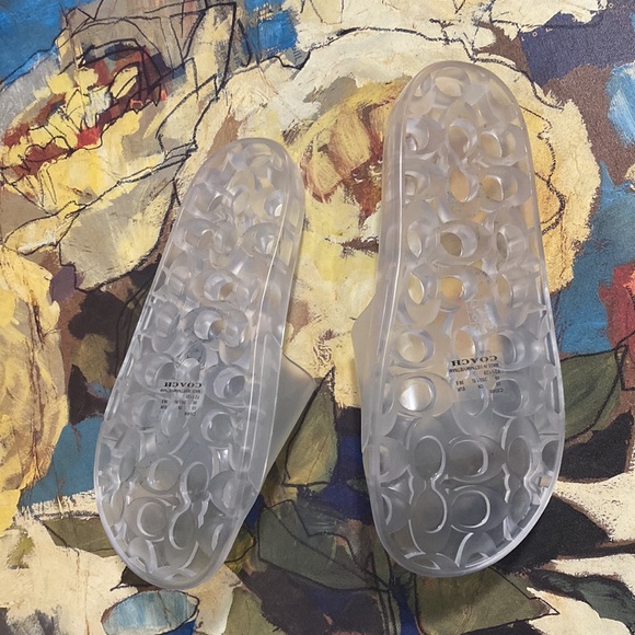 COACH Slides - Picture 2 of 3